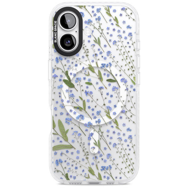 Blue Meadow