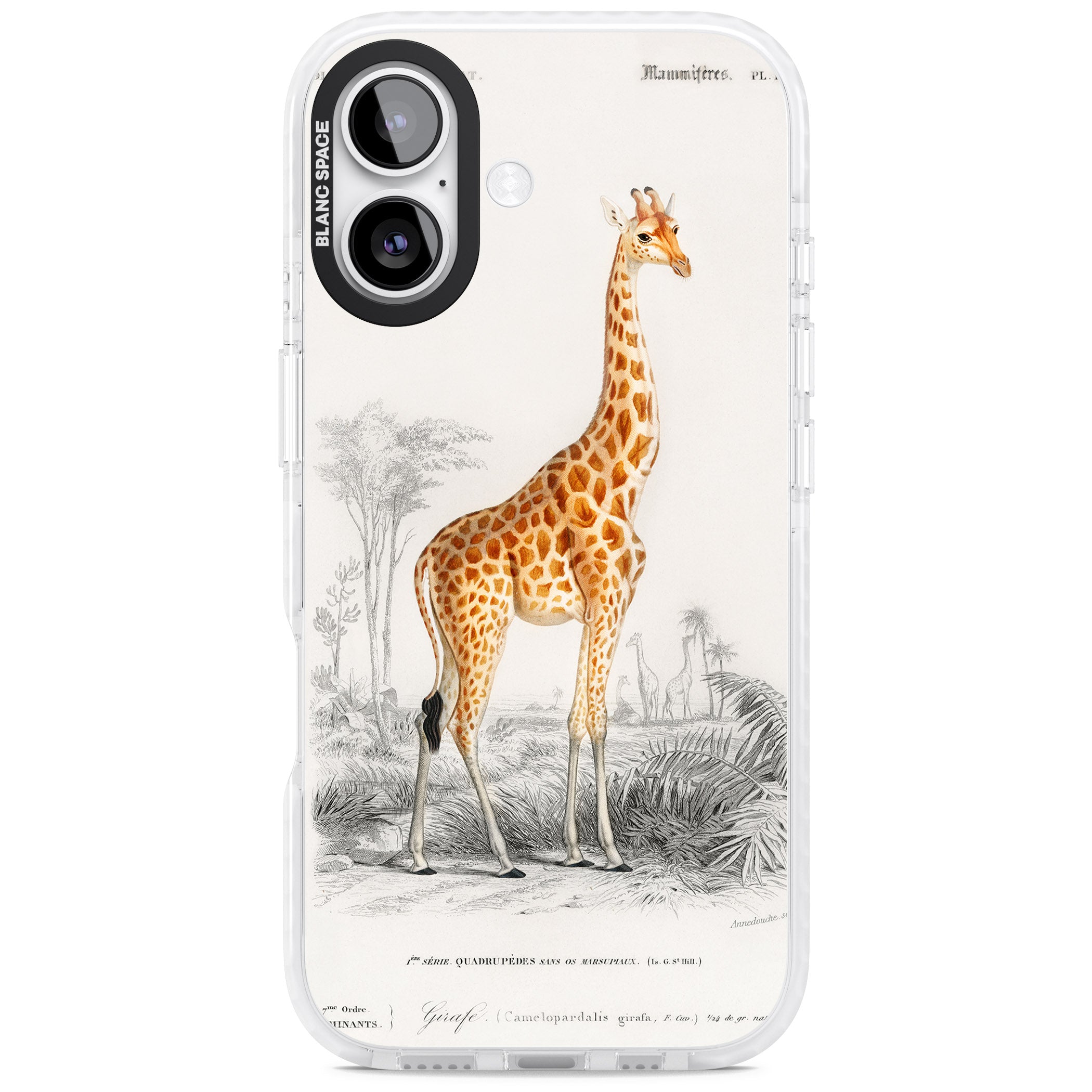 Vintage Giraffe Art iPhone 17 Impact Pro Clear Phone Case