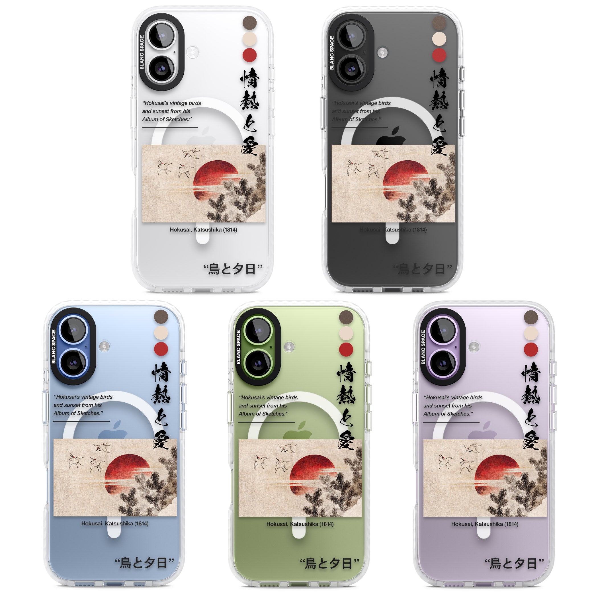 Birds And Sunset iPhone 17 Impact Pro Clear Phone Case APT Impact Protection