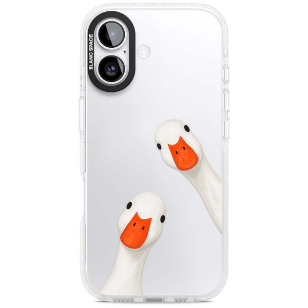 Nosy Ducks