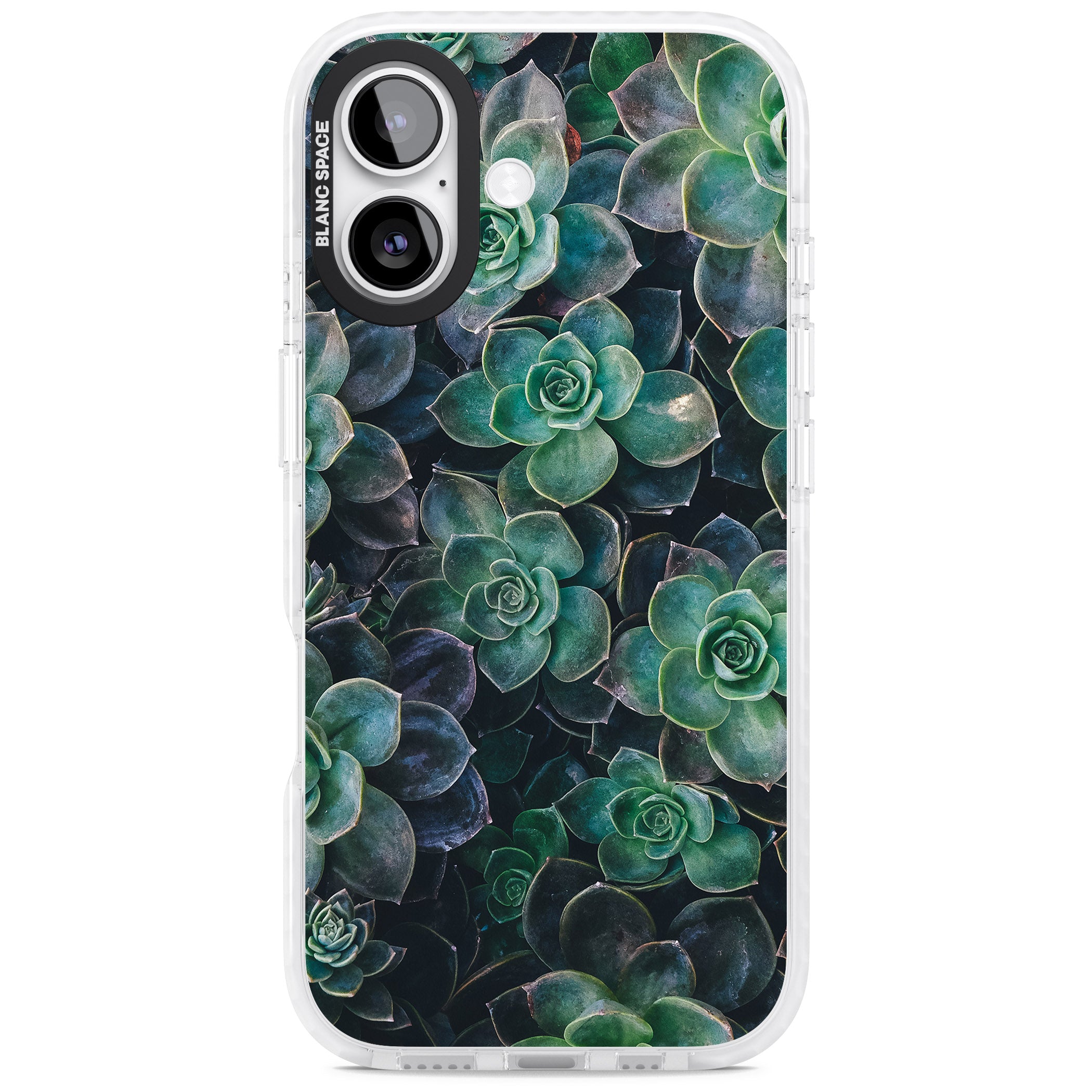Succulent Bloom Botanical iPhone 17 Impact Clear Phone Case