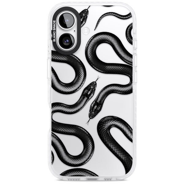 Black Kingsnake