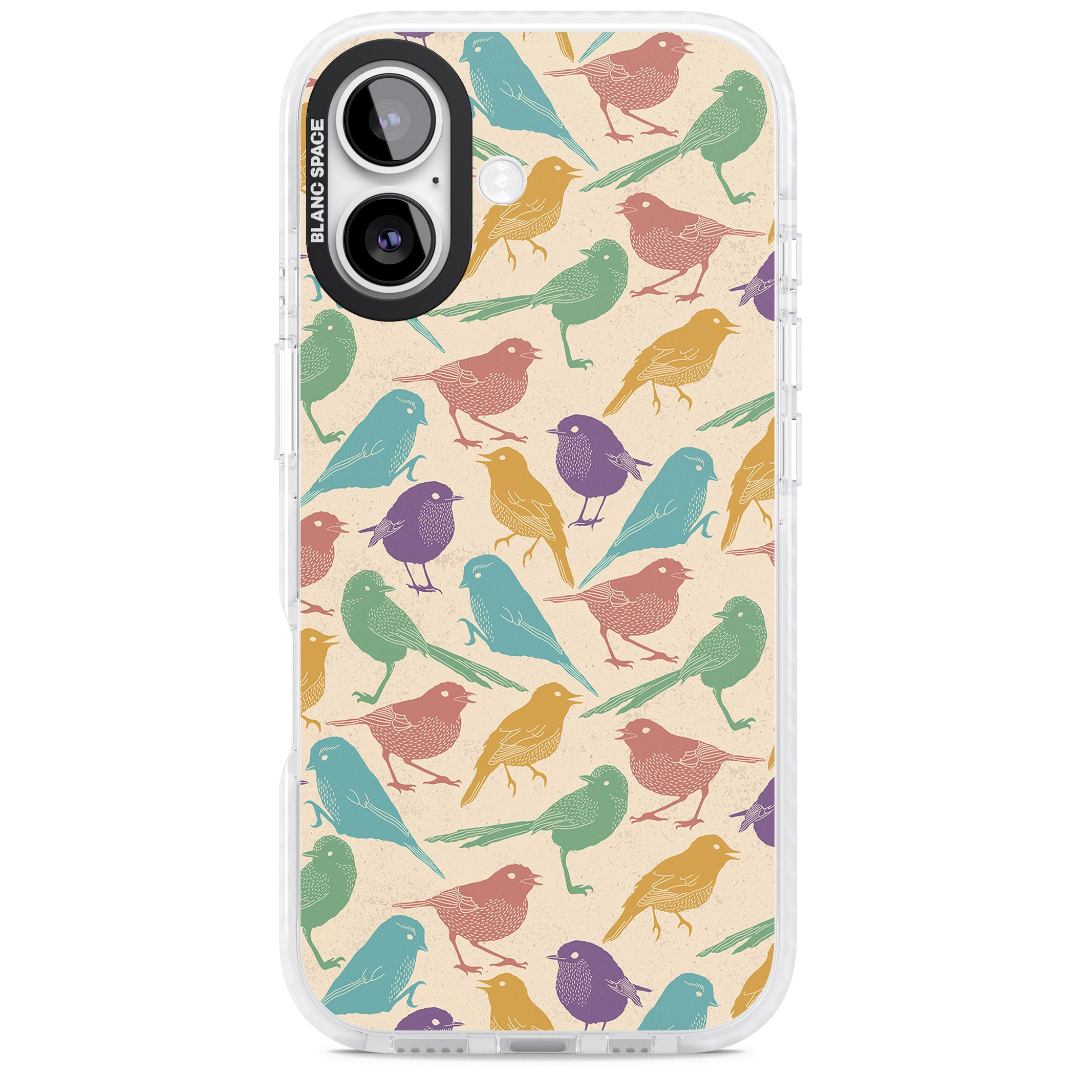 Colorful Feathered Friends iPhone 17 Impact Clear Phone Case