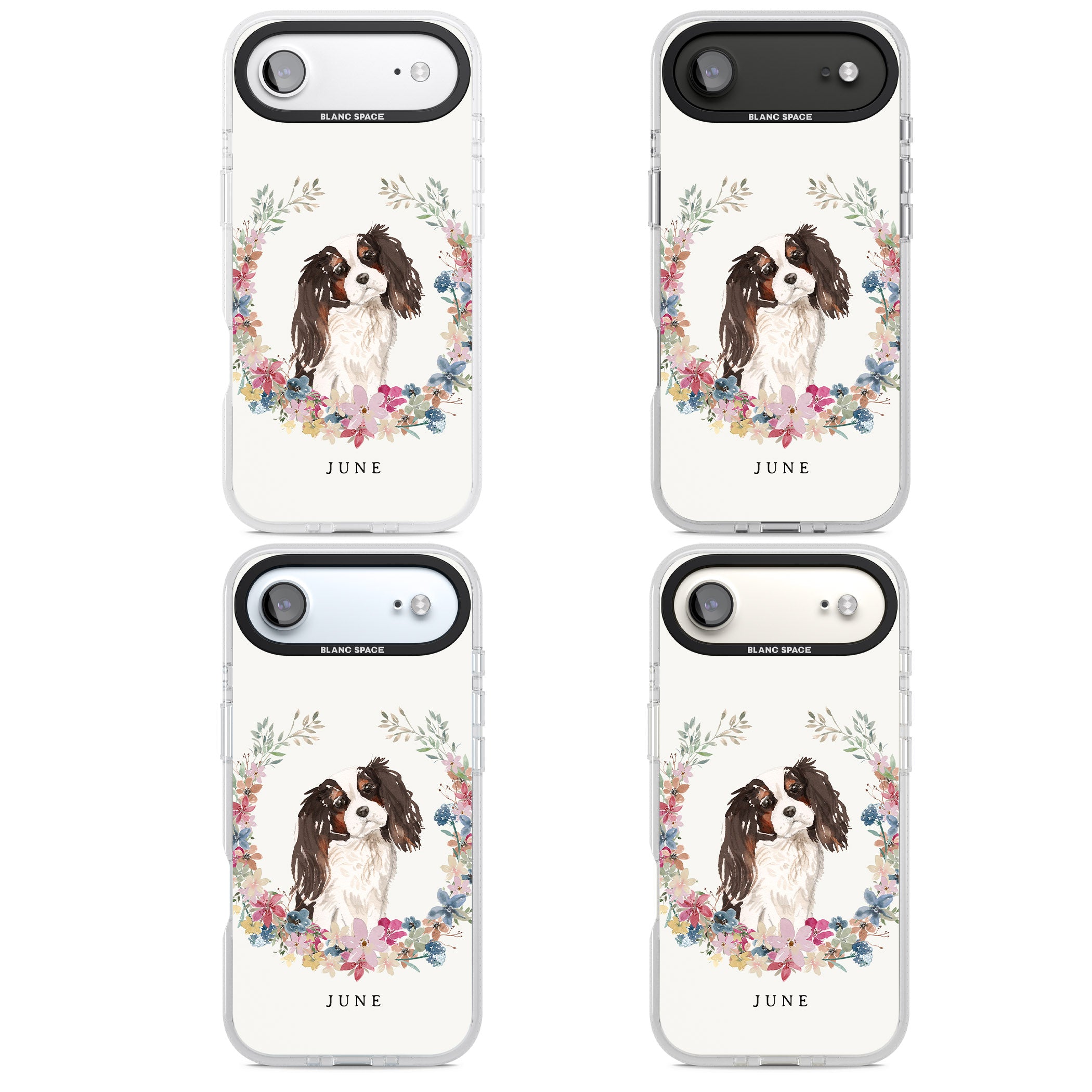 Personalised King Charles Floral Portrait iPhone 17 Air Impact Air Clear Phone Case APT Impact Protection