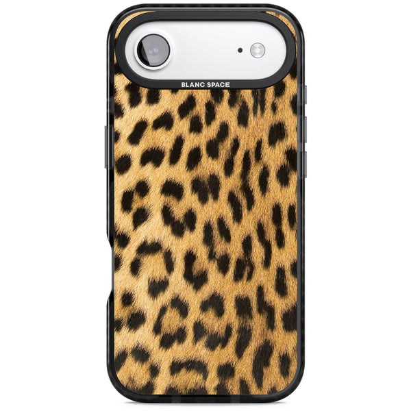 Savannah Leopard