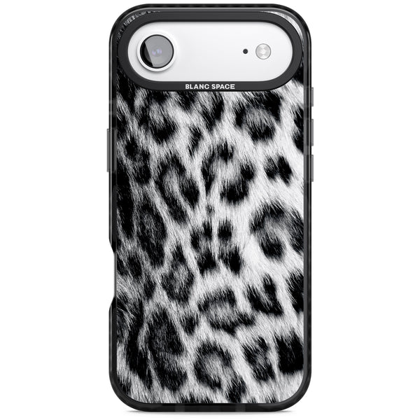 Snow Leopard