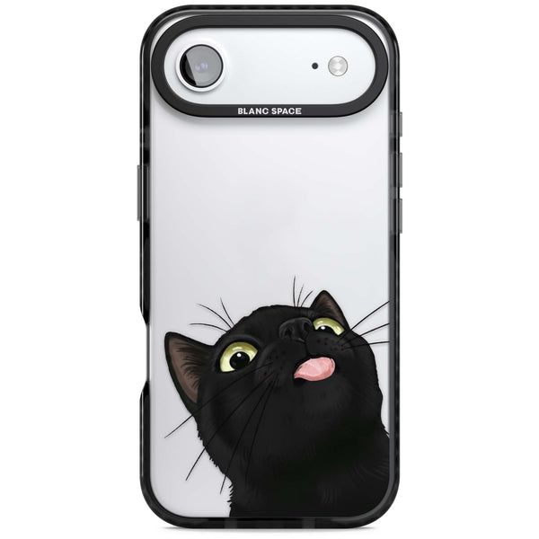 Black Cat Energy