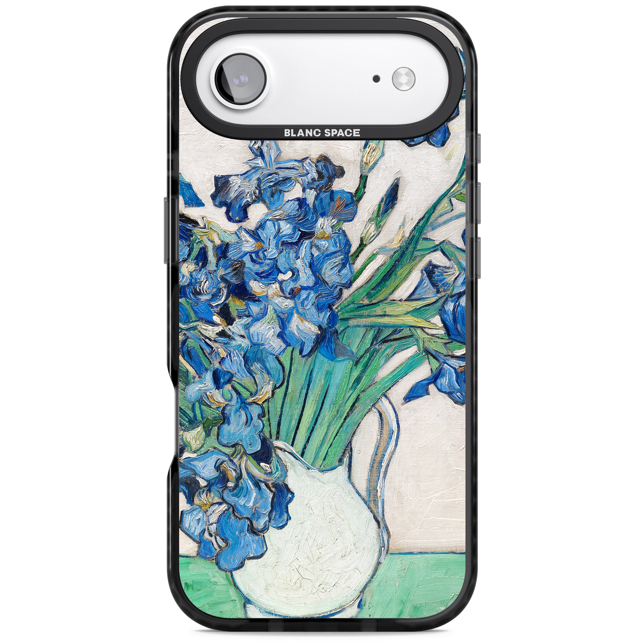 Irises By Vincent Van Gogh