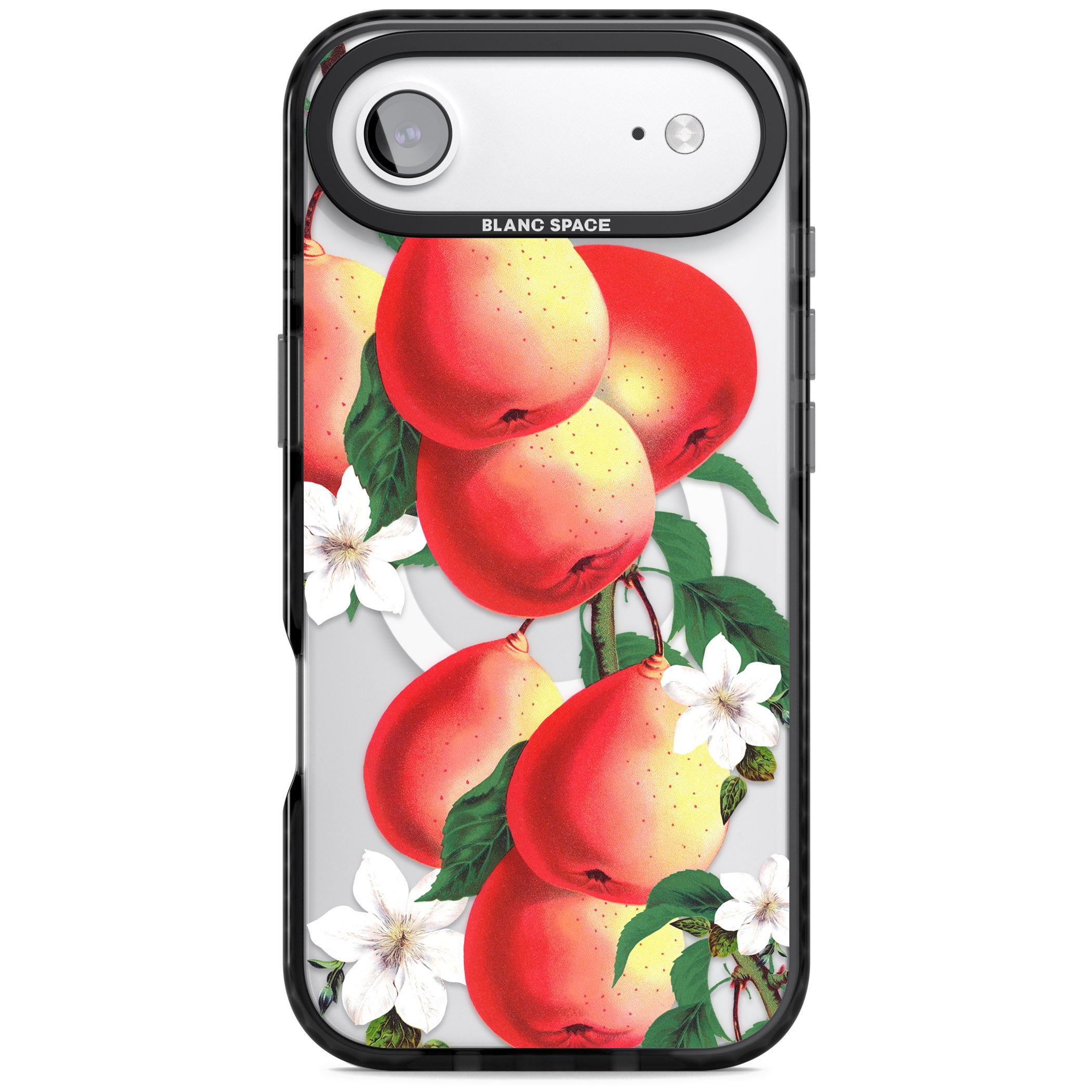 Vintage Painted Peaches iPhone 17 Air Impact Pro Black Phone Case