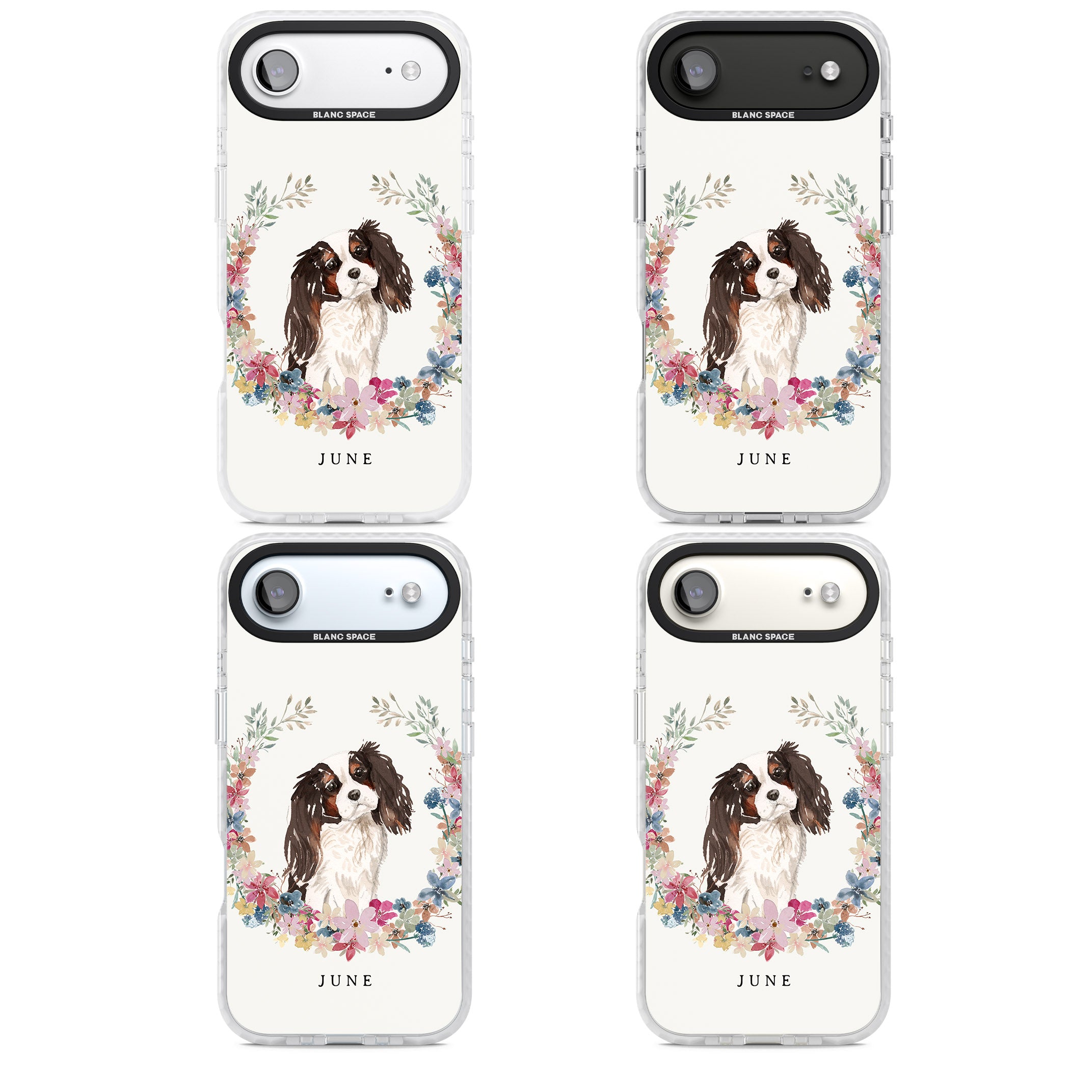 Personalised King Charles Floral Portrait iPhone 17 Air Impact Clear Phone Case APT Impact Protection