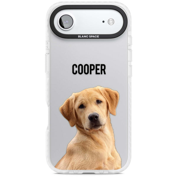 Personalised Pet Cutout & Name