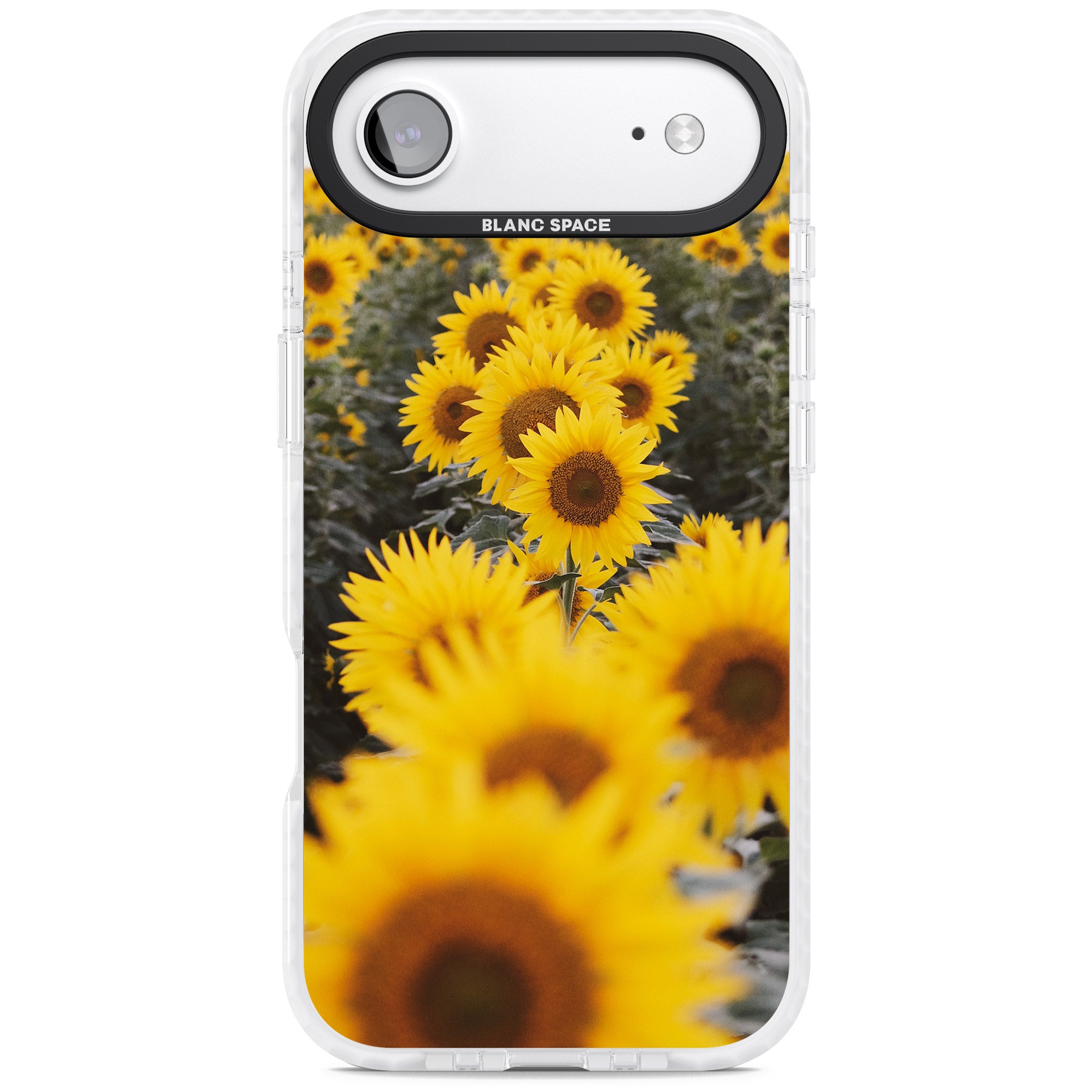 Sunflower Field iPhone 17 Air Impact Pro Clear Phone Case