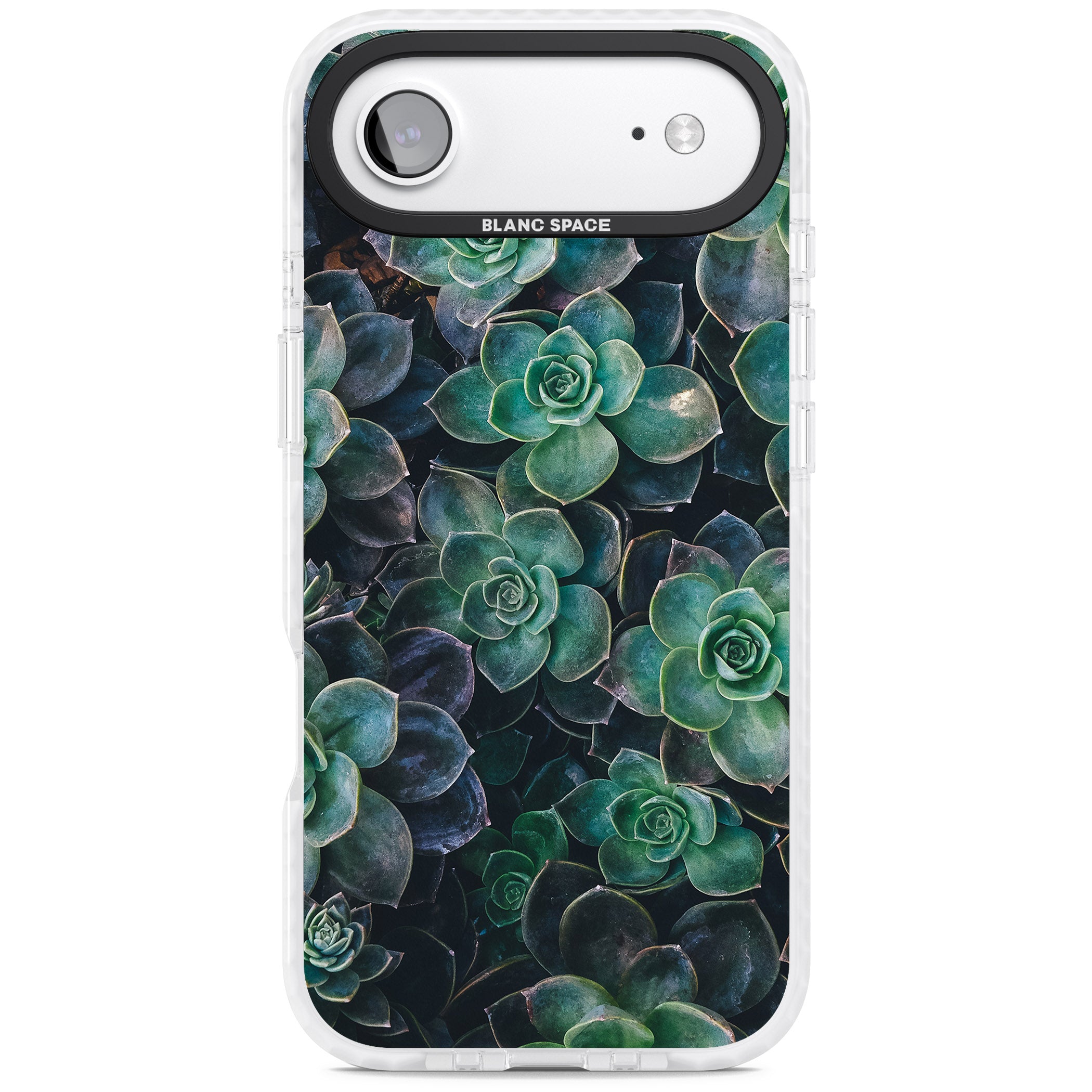 Succulent Bloom Botanical iPhone 17 Air Impact Pro Clear Phone Case