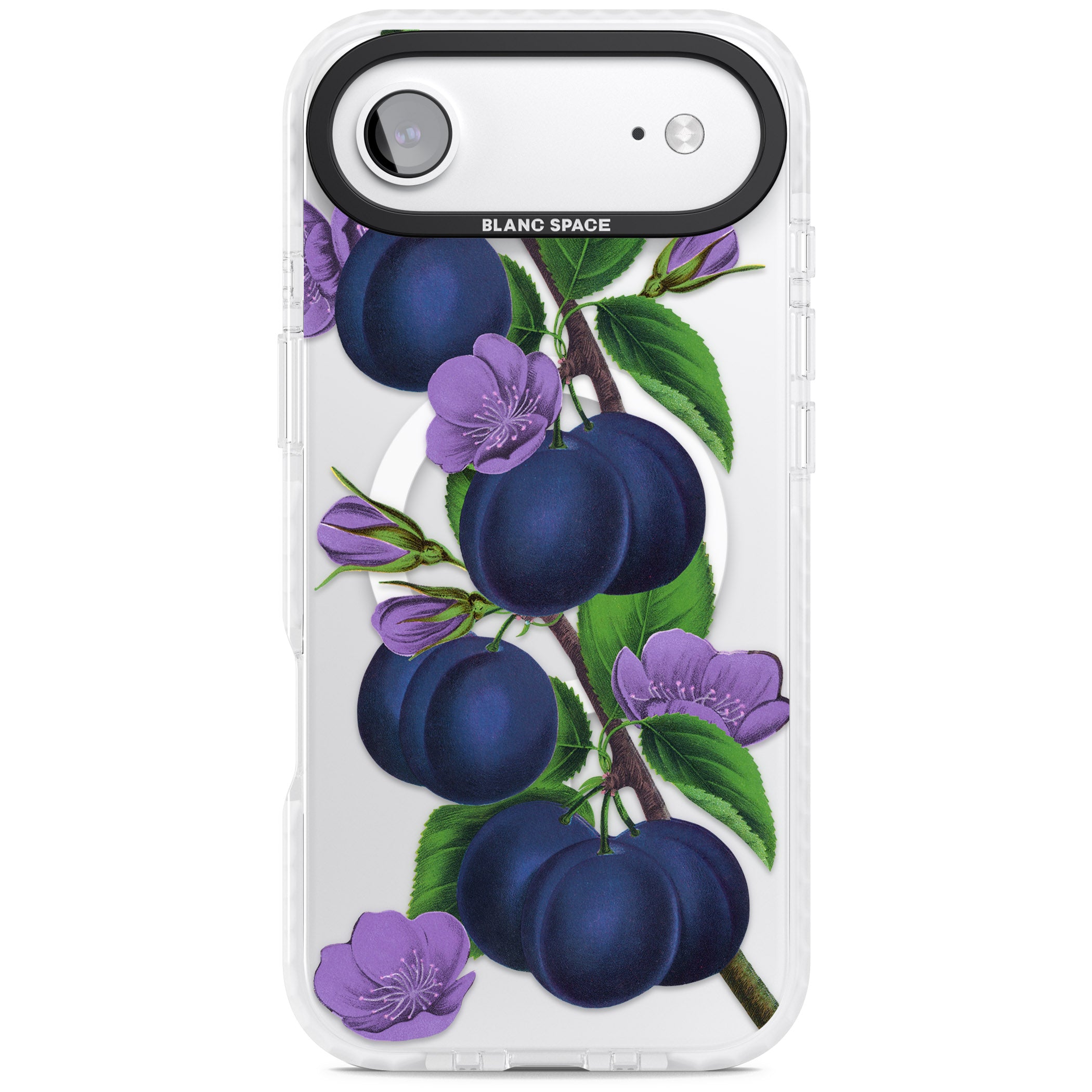 Vintage Painted Plums iPhone 17 Air Impact Pro Clear Phone Case