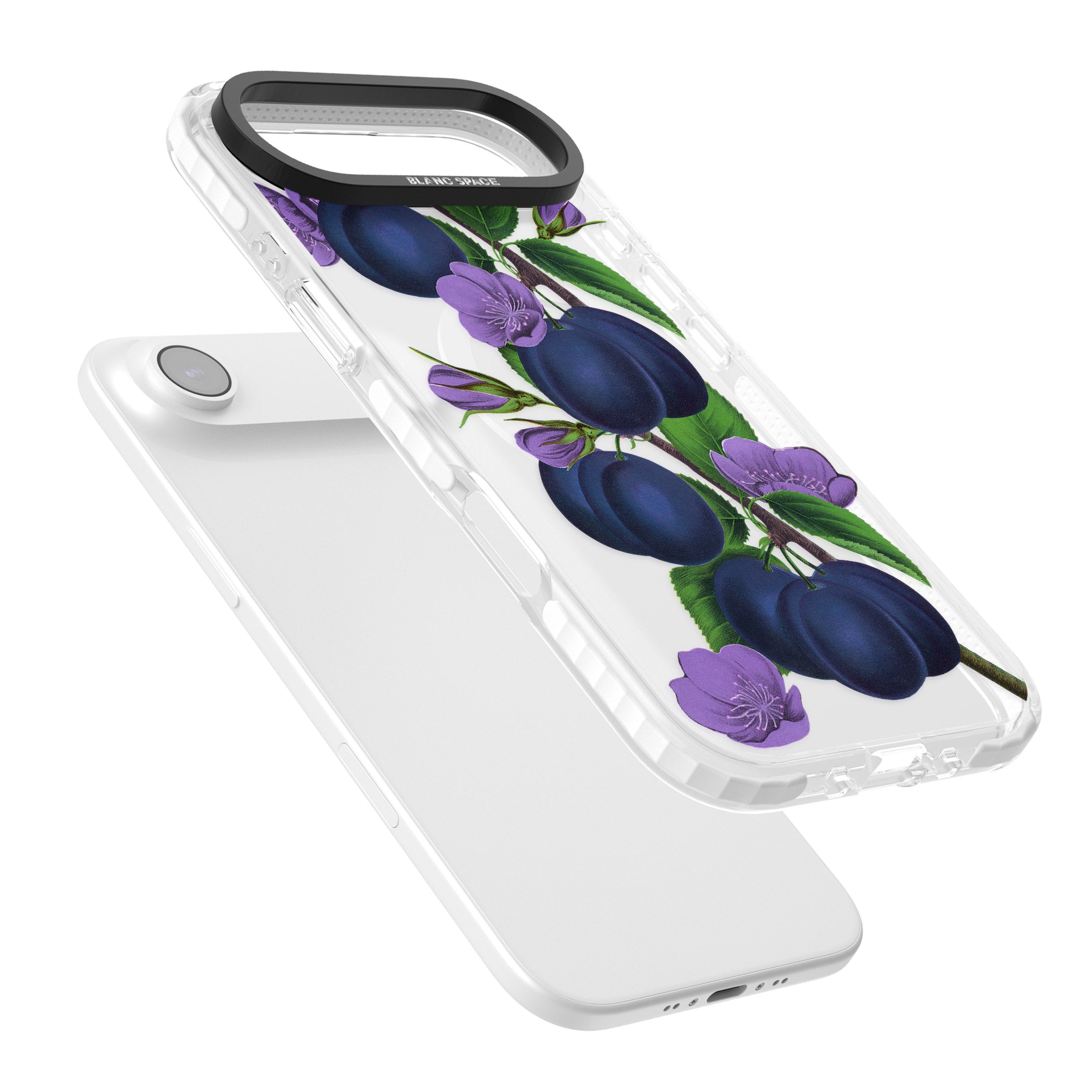 Vintage Painted Plums iPhone 17 Air Impact Pro Clear Phone Case Colours