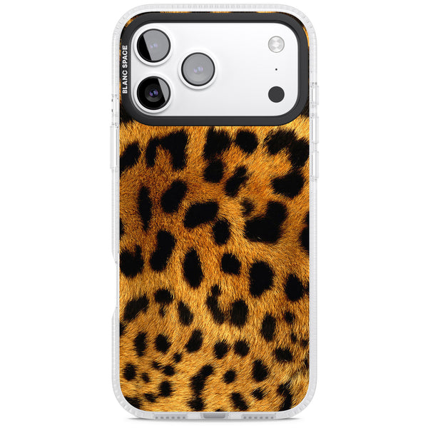 Leopard Print