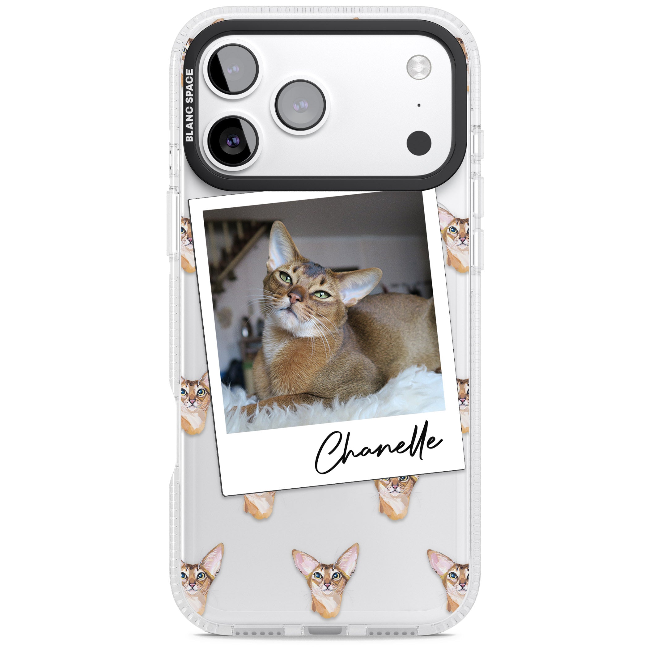 Personalised Abyssinian Cat Photo iPhone 17 Pro Max Impact Air Clear Phone Case