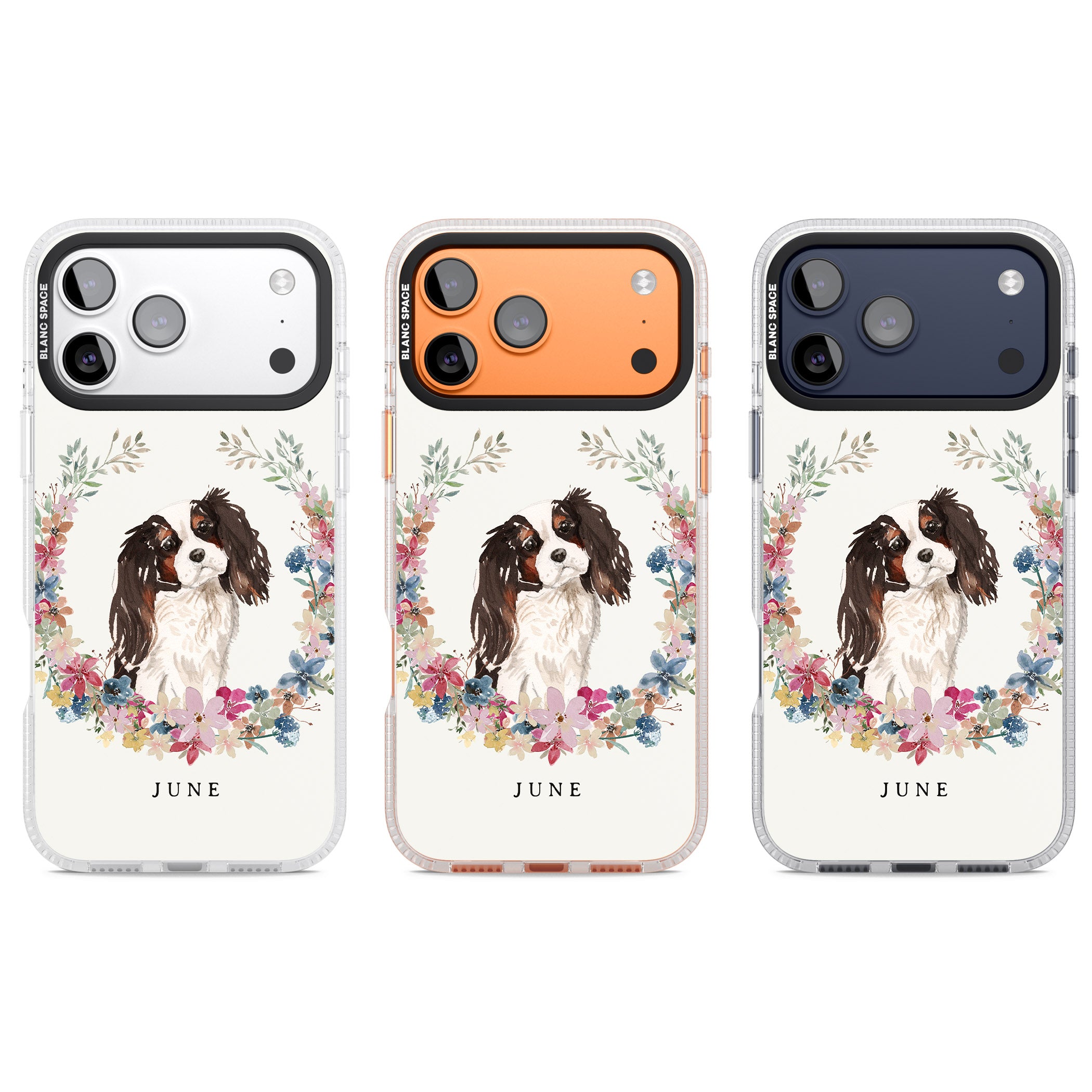 Personalised King Charles Floral Portrait iPhone 17 Pro Impact Air Clear Phone Case APT Impact Protection