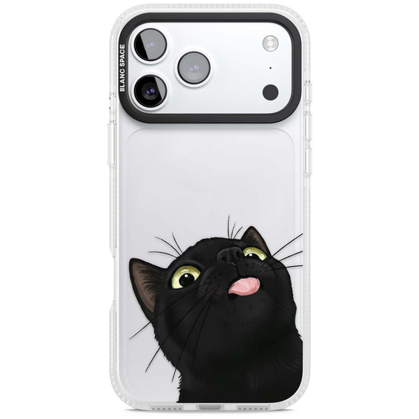 Black Cat Energy