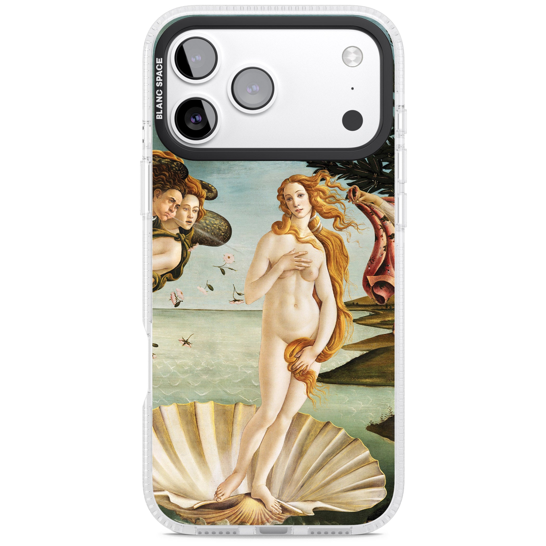 The Birth of Venus - Sandro Botticelli iPhone 17 Pro Max Impact Air Clear Phone Case