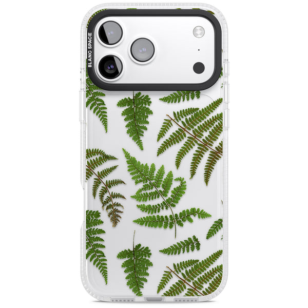 Leafy Ferns