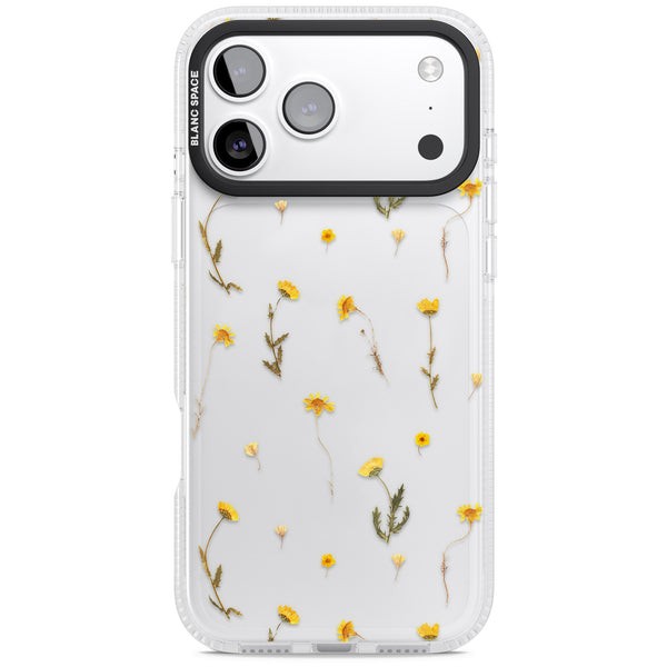 Yellow Wildflower