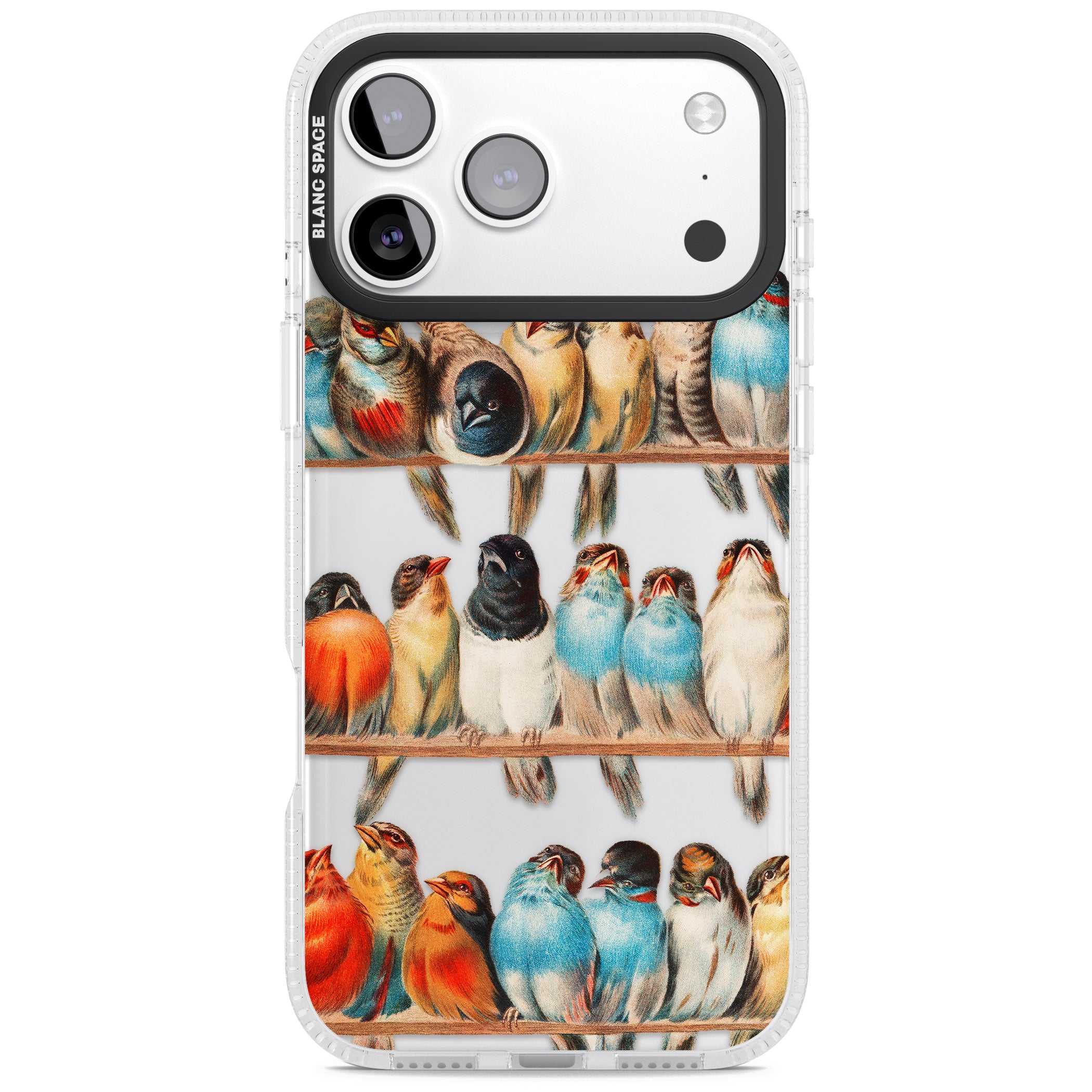 A Perch Of Birds iPhone 17 Pro Max Impact Air Clear Phone Case