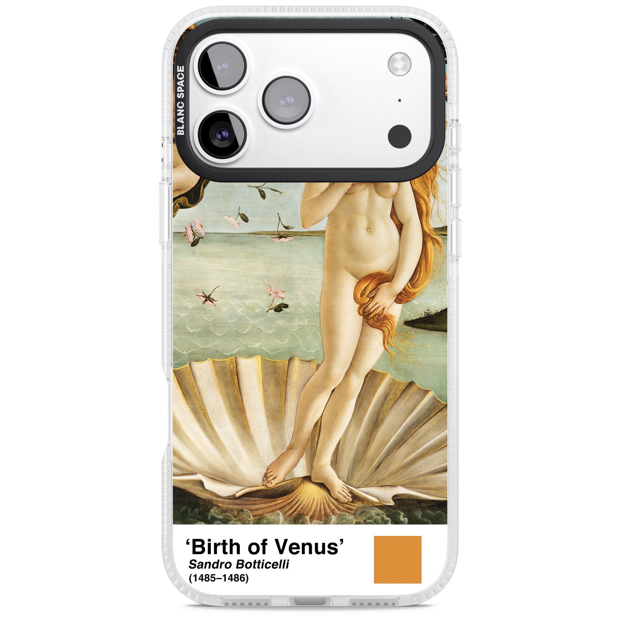 The Birth Of Venus iPhone 17 Pro Max Impact Air Clear Phone Case