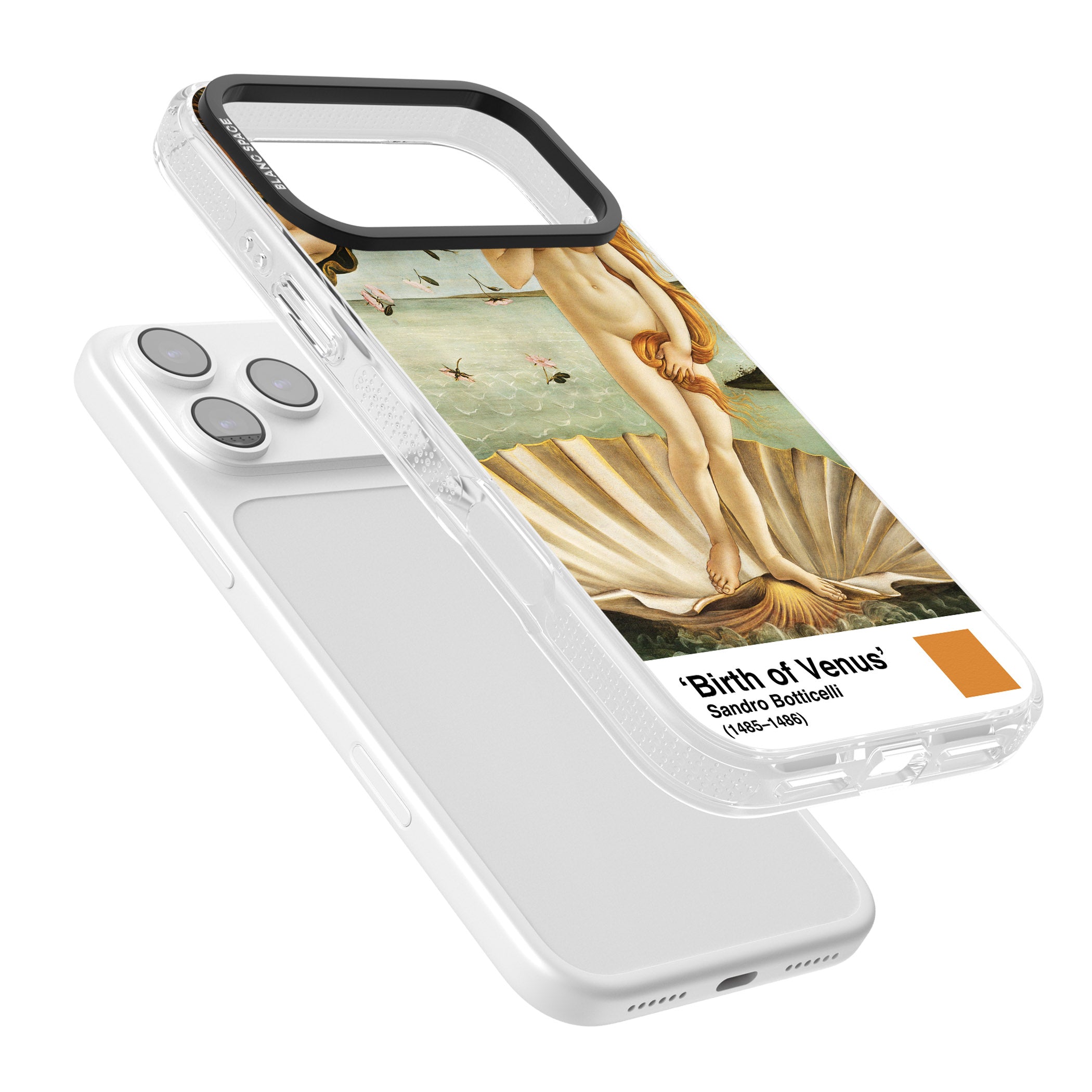 The Birth Of Venus iPhone 17 Pro Max Impact Air Clear Phone Case Colours