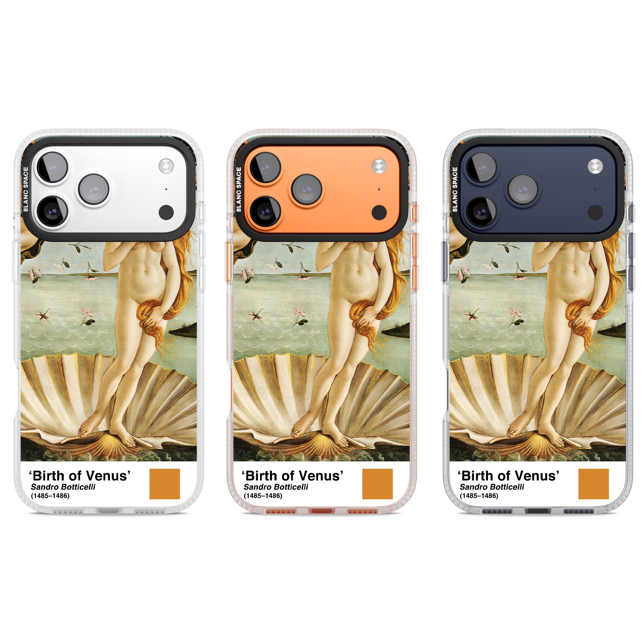 The Birth Of Venus iPhone 17 Pro Impact Air Clear Phone Case APT Impact Protection