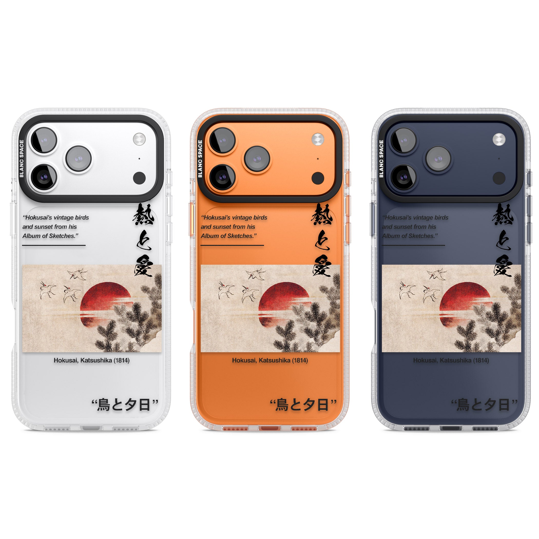Birds And Sunset iPhone 17 Pro Impact Air Clear Phone Case APT Impact Protection