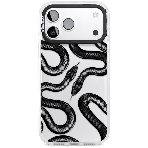 Black Kingsnake
