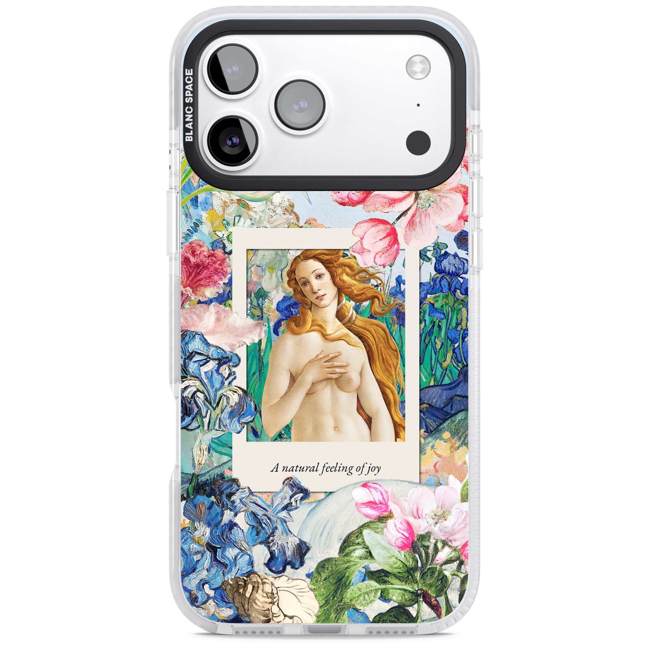 Botticelli Venus iPhone 17 Pro Max Impact Clear Phone Case
