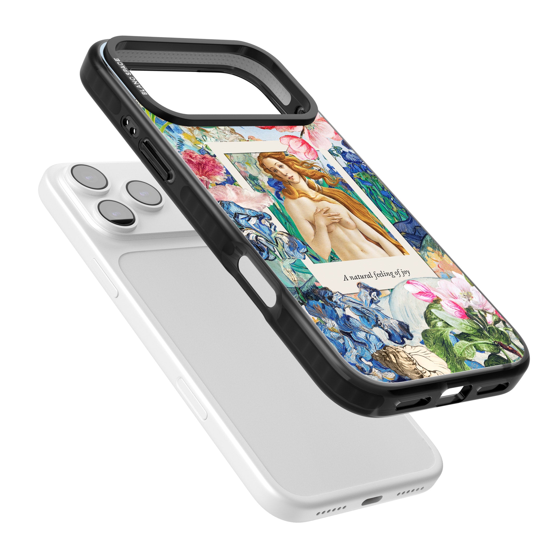 Botticelli Venus iPhone 17 Pro Max Impact Black Phone Case Colours