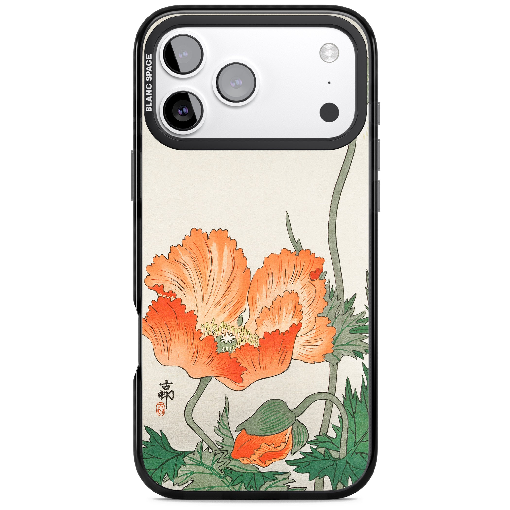 Birds And Plants By Ohara Koson iPhone 17 Pro Max Impact Black Phone Case