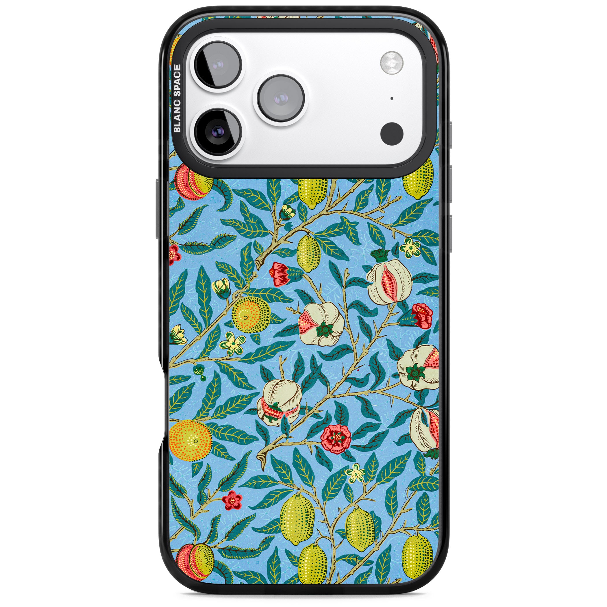 Vintage Fruits iPhone 17 Pro Max Impact Pro Black Phone Case