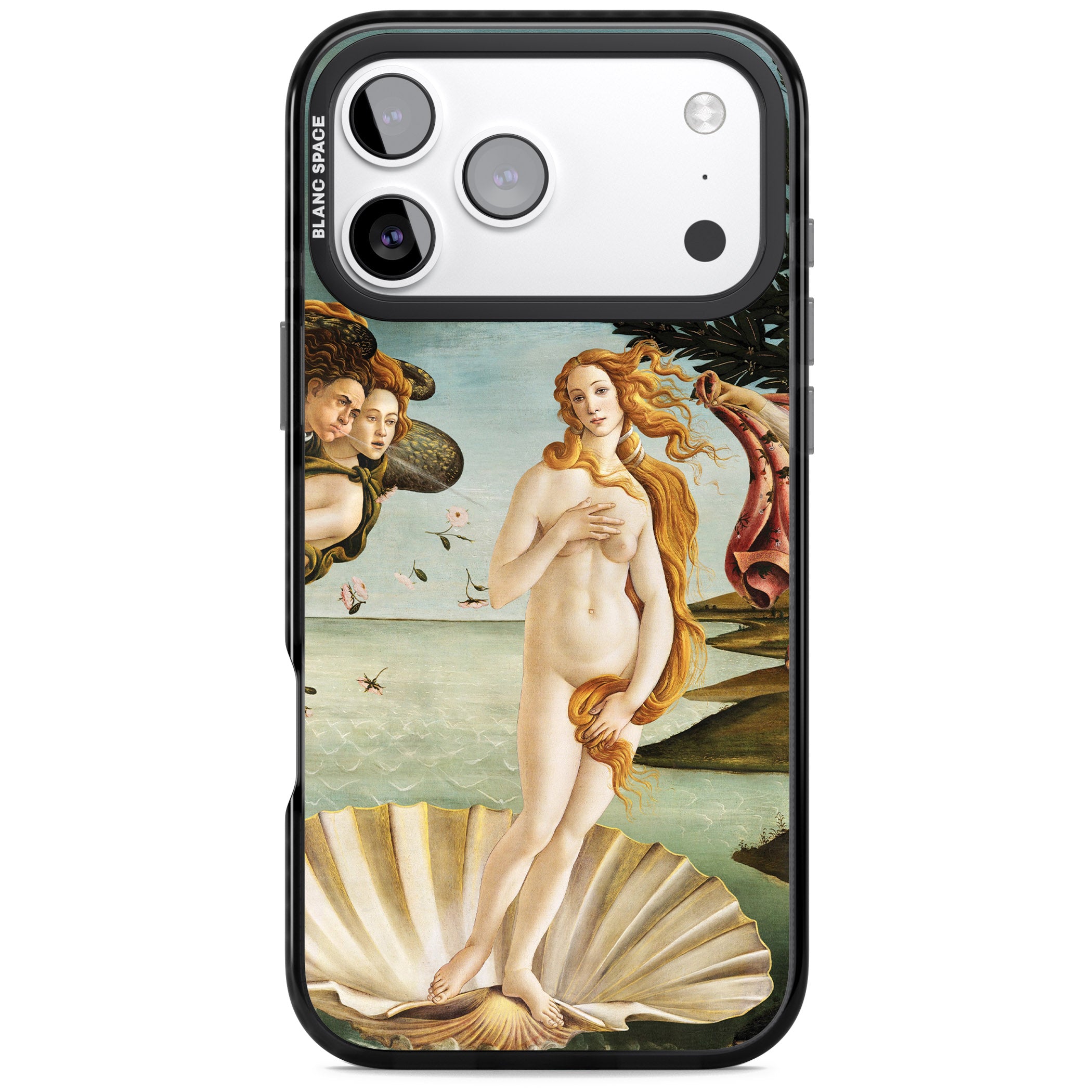 The Birth of Venus - Sandro Botticelli iPhone 17 Pro Max Impact Pro Black Phone Case