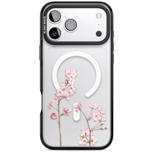 Blossom Flower