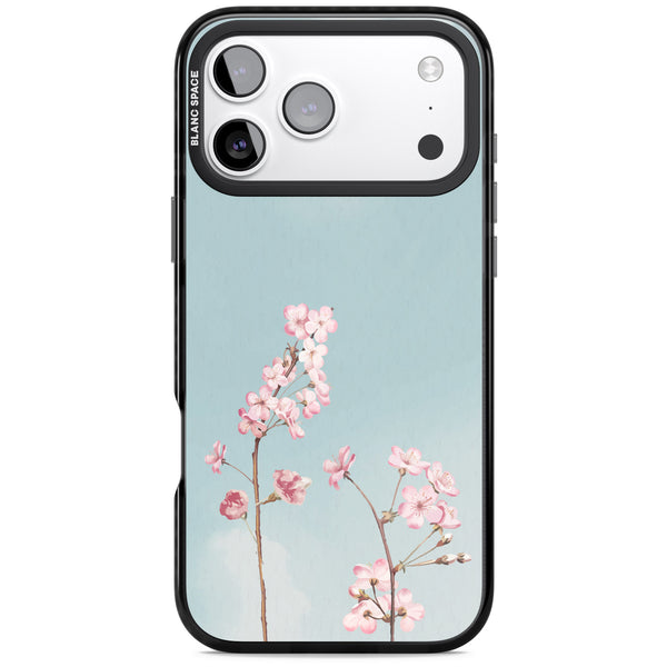 Blossom Flower Sky