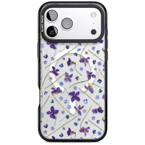 Pressed Violets