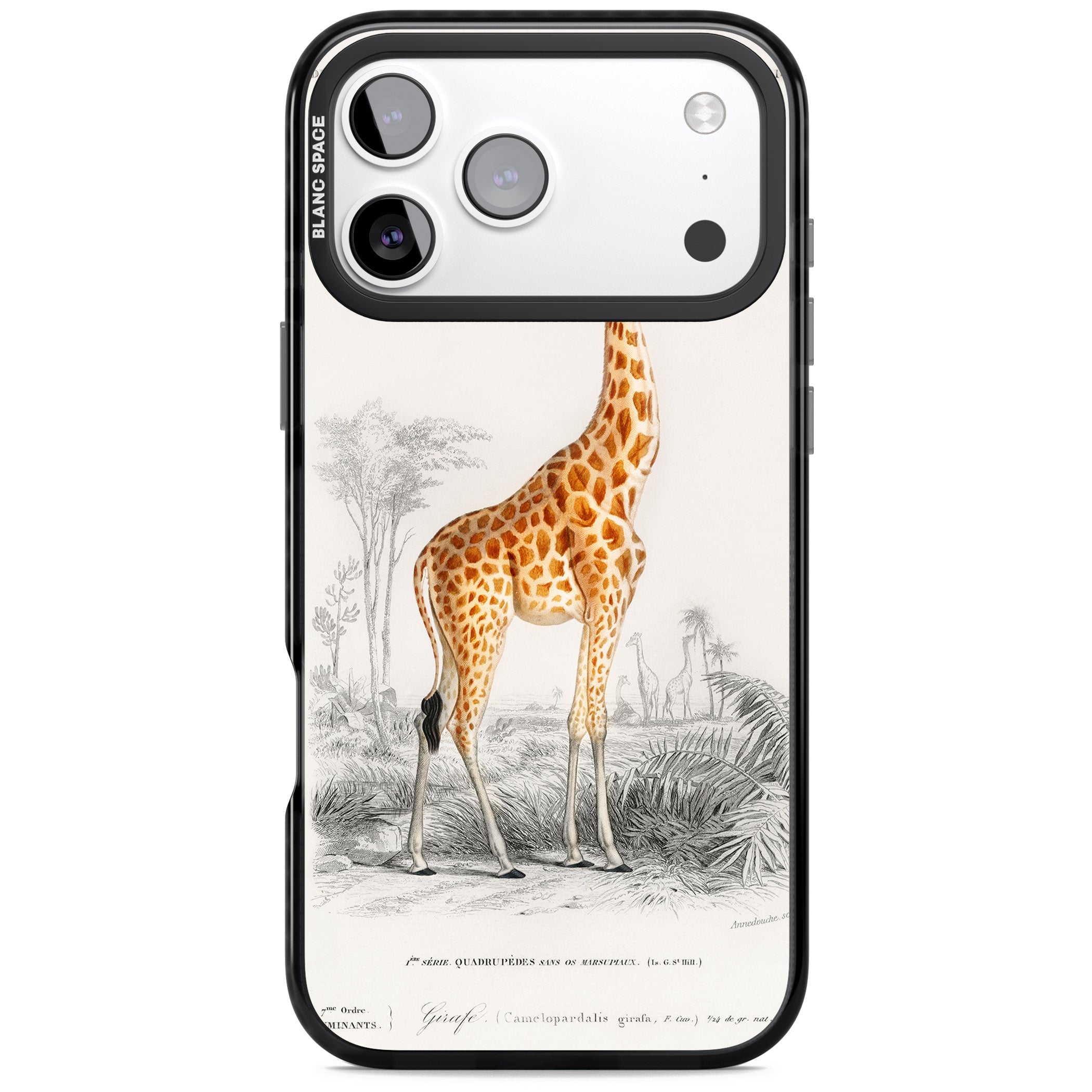 Vintage Giraffe Art iPhone 17 Pro Max Impact Pro Black Phone Case