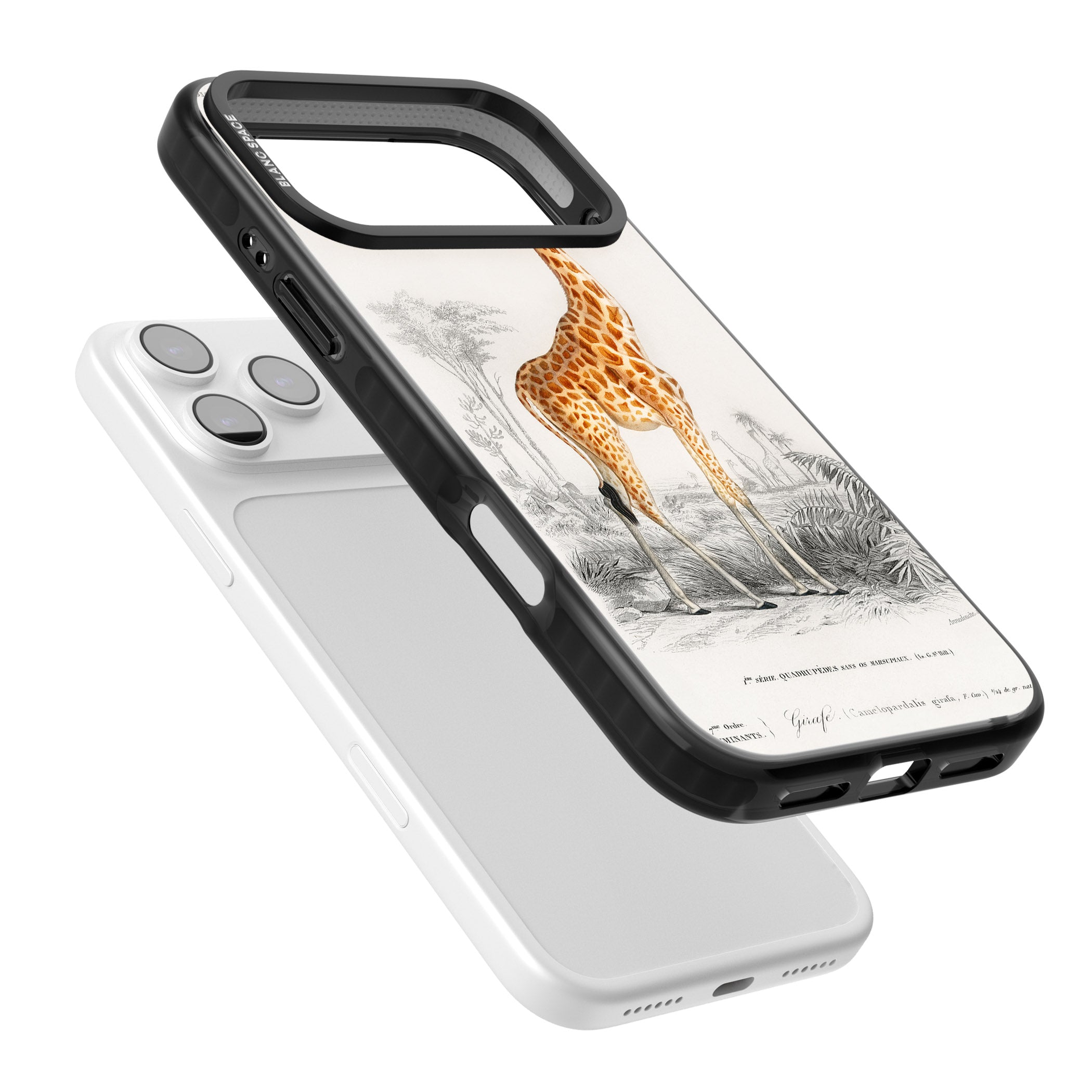 Vintage Giraffe Art iPhone 17 Pro Max Impact Pro Black Phone Case Colours