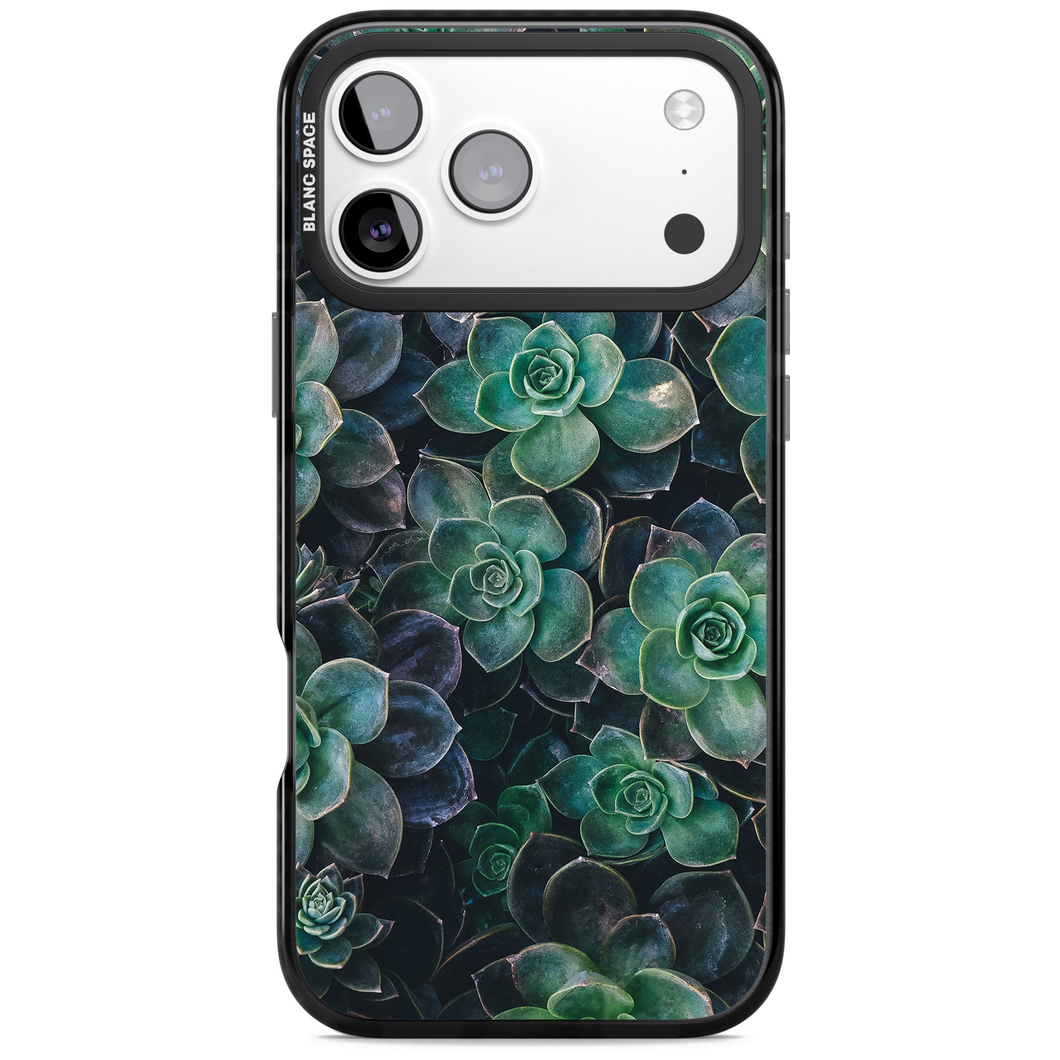 Succulent Bloom Botanical iPhone 17 Pro Max Impact Pro Black Phone Case