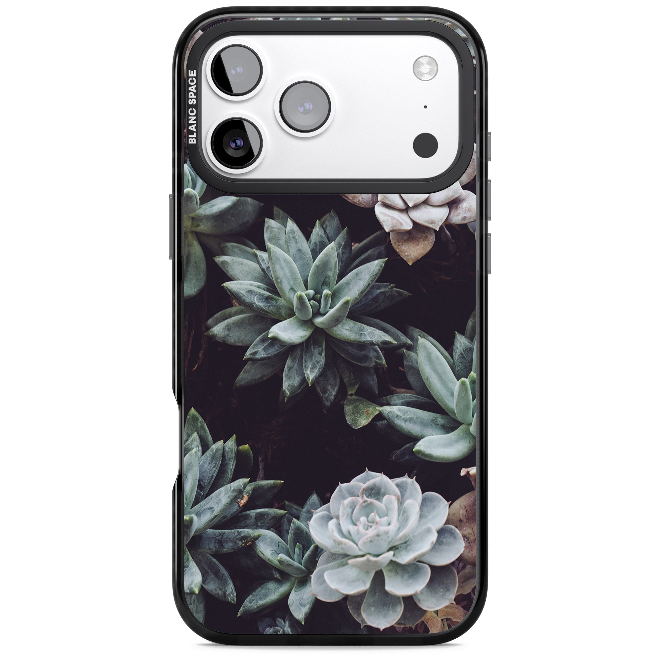 Succulent Bloom Mixed iPhone 17 Pro Max Impact Pro Black Phone Case