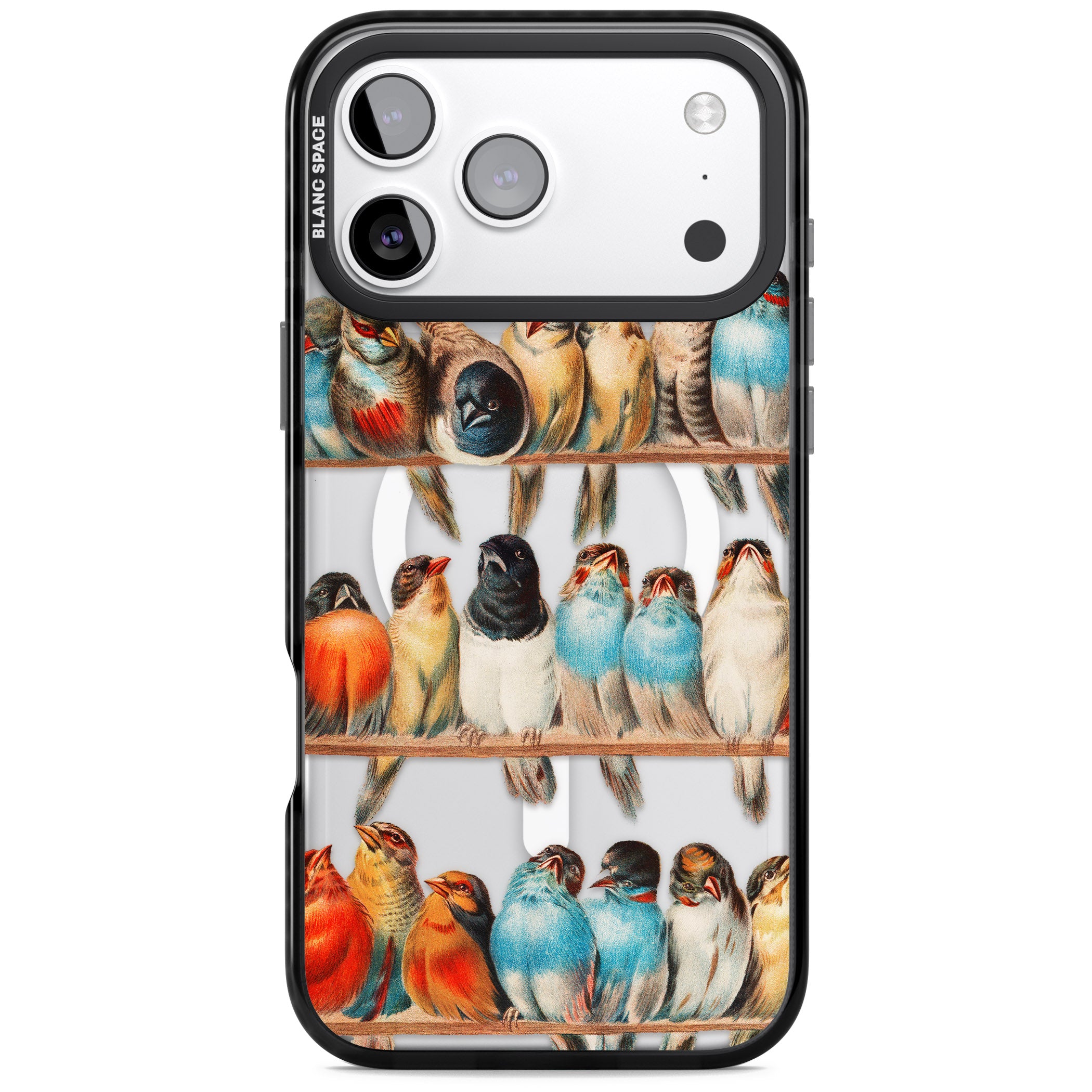 A Perch Of Birds iPhone 17 Pro Max Impact Pro Black Phone Case
