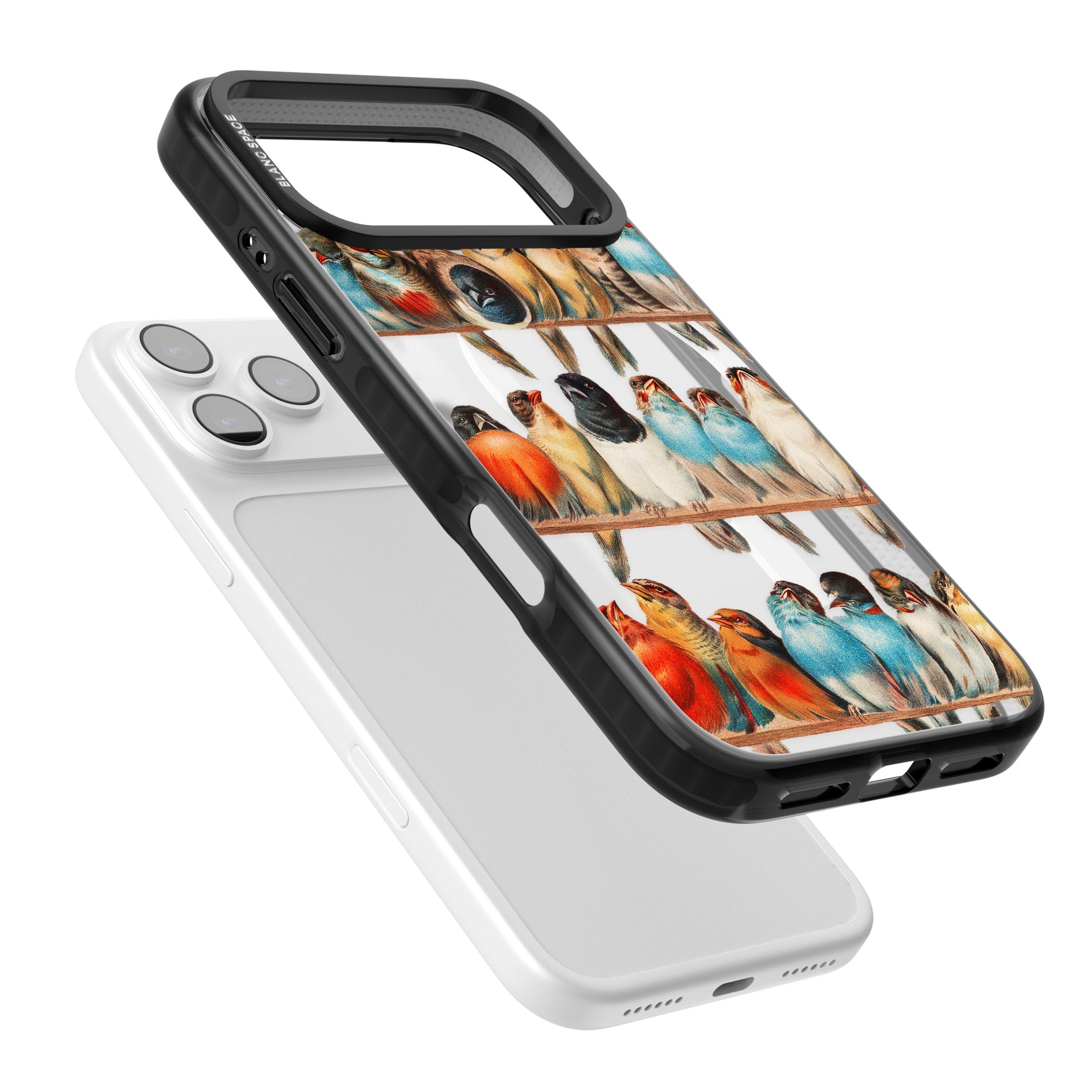 A Perch Of Birds iPhone 17 Pro Max Impact Pro Black Phone Case Colours