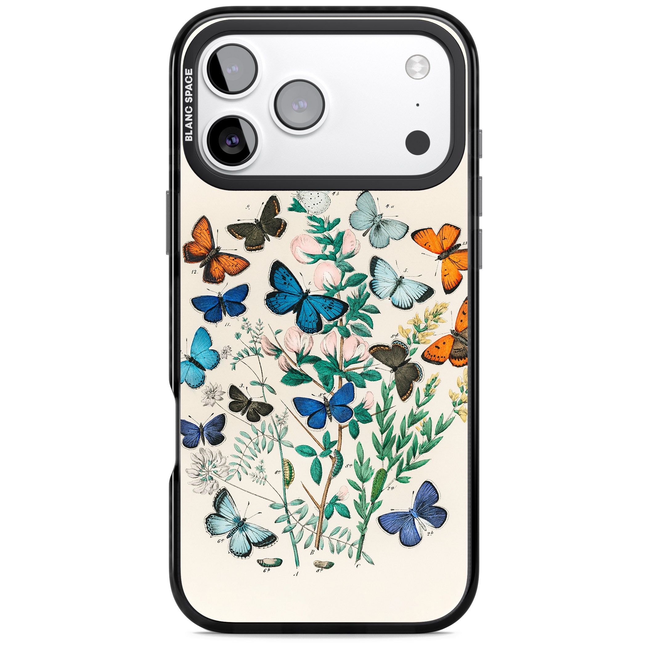 European Butterflies iPhone 17 Pro Impact Pro Black Phone Case