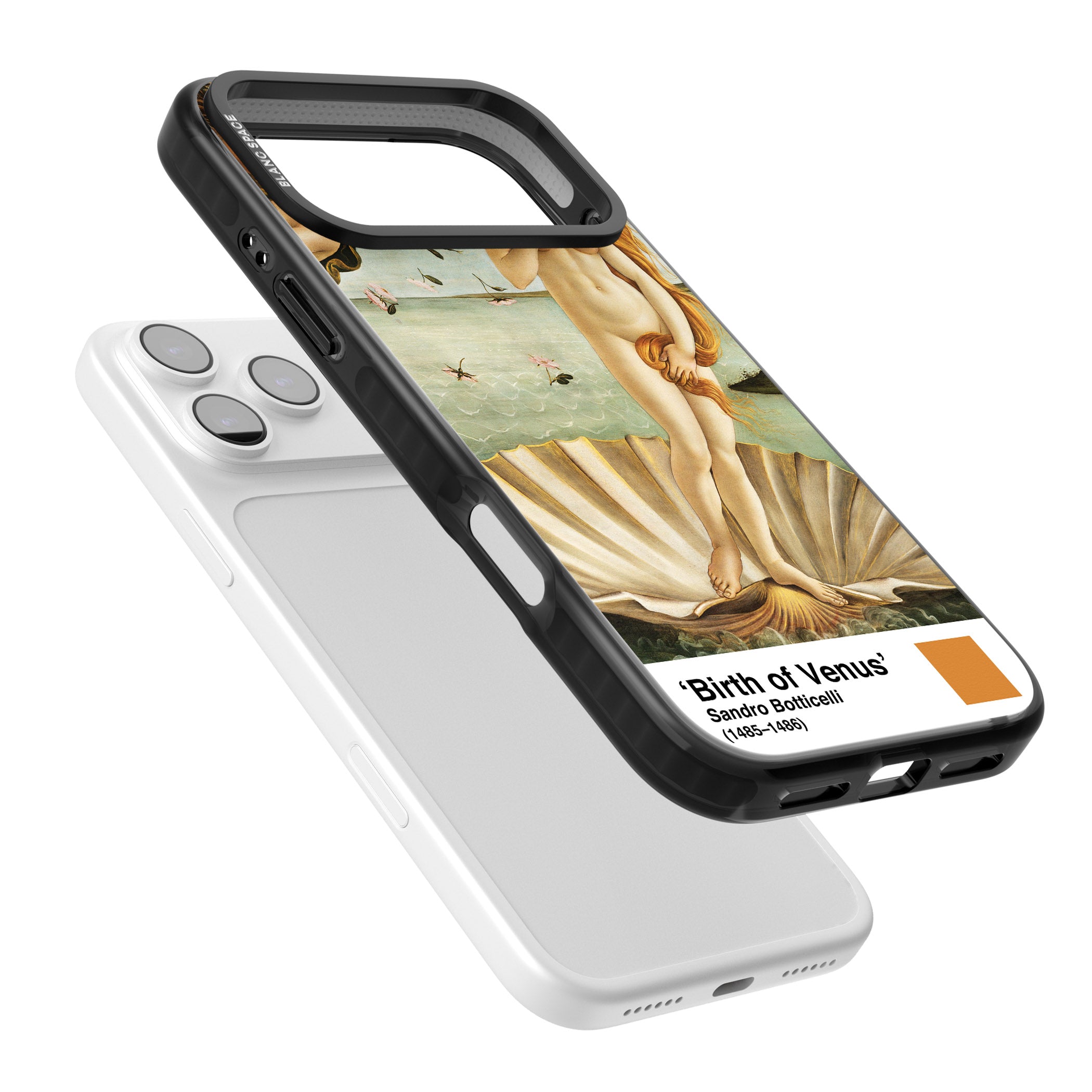 The Birth Of Venus iPhone 17 Pro Max Impact Pro Black Phone Case Colours