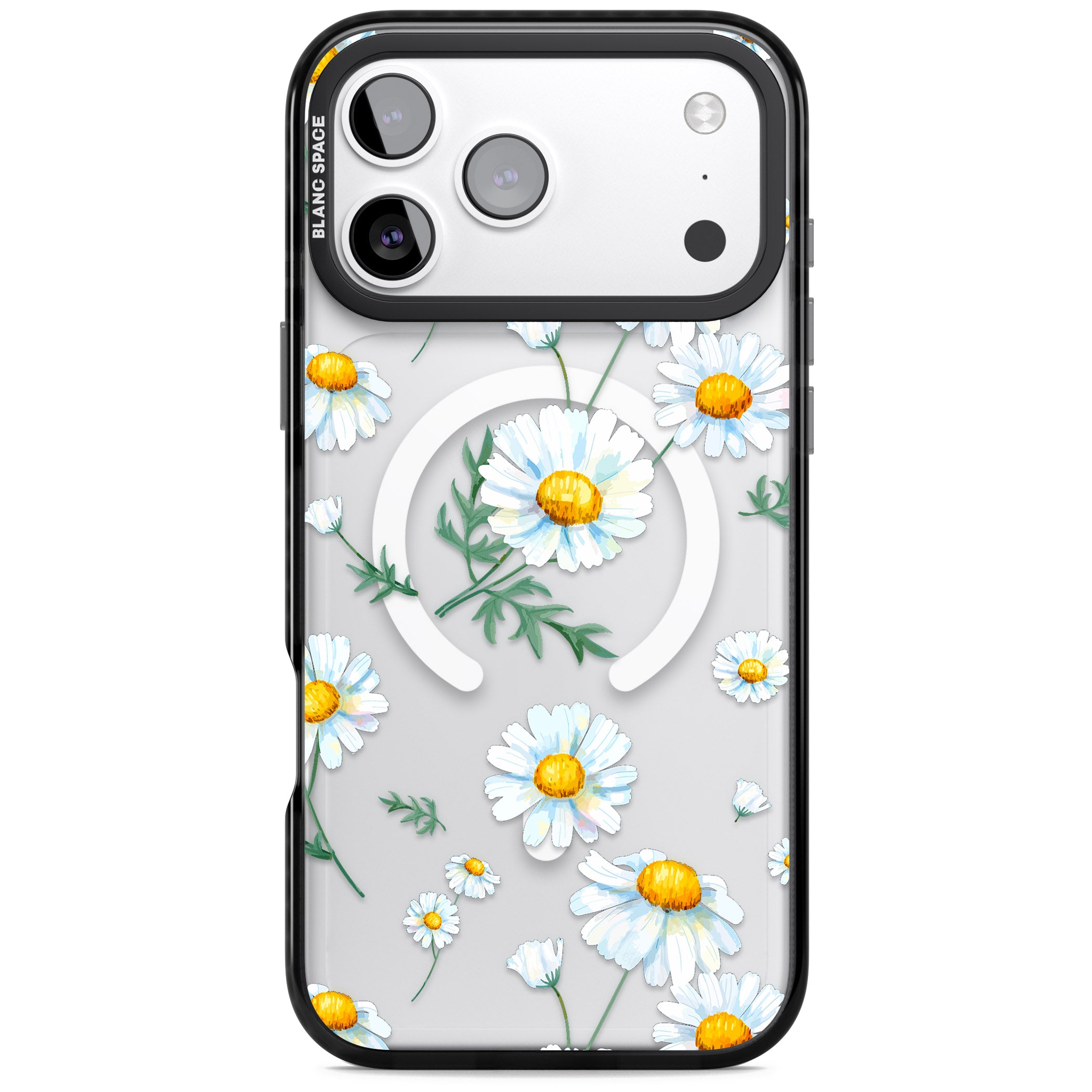 Vintage Painted Daisies iPhone 17 Pro Max Impact Pro Black Phone Case