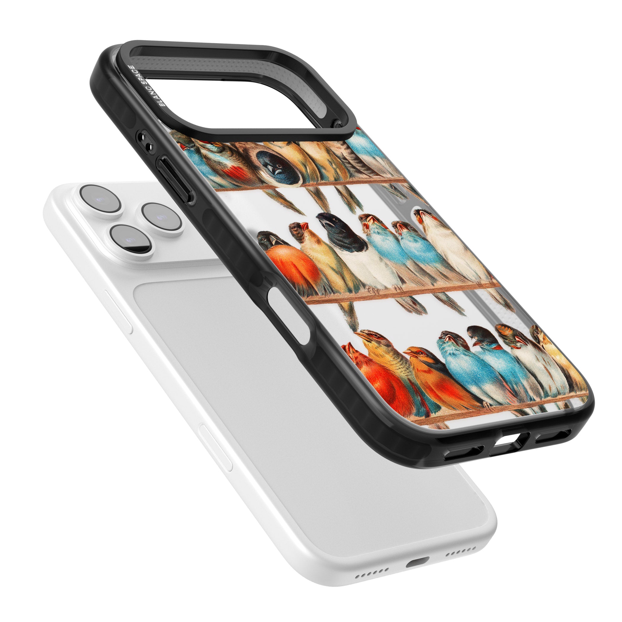 A Perch Of Birds iPhone 17 Pro Max Impact Black Phone Case Colours